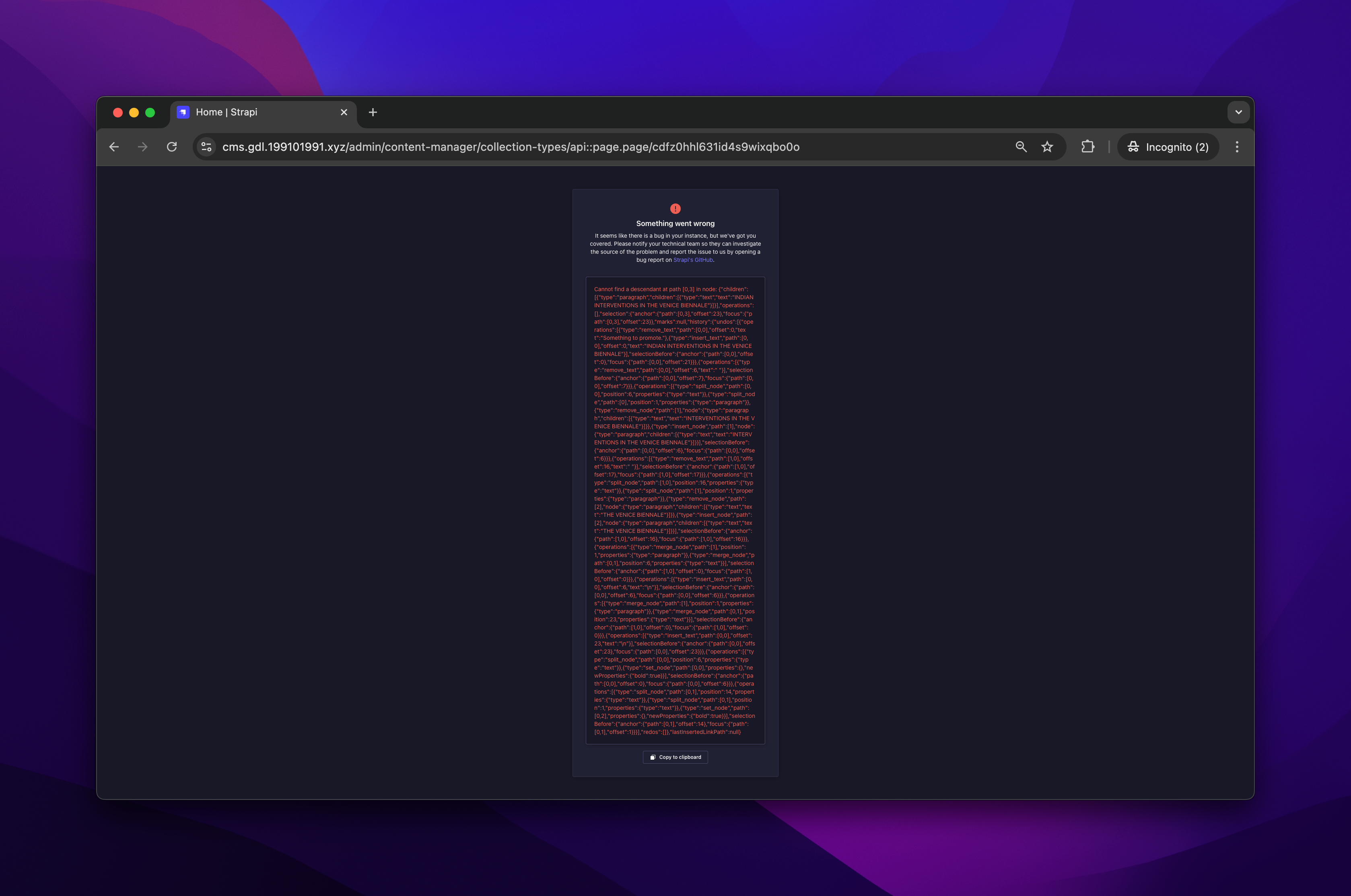 Strapi Red Vomit Error